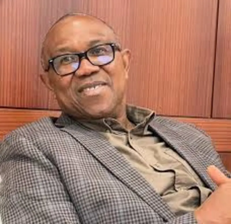 Peter Obi Proposes Single Five-Year Presidential Term for Nigeria, Citing South Korean Model